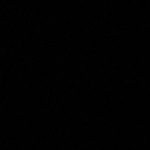 Meet your Posher, Joni